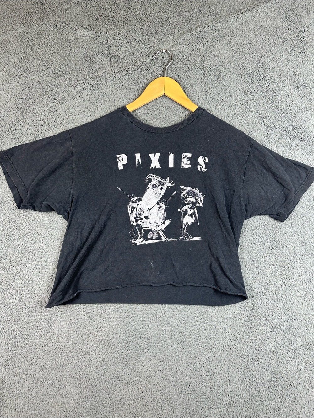 Pixies Indie Cindy Band T-Shirt Black Cropped Graphic Tee Large 2014 Tour Era